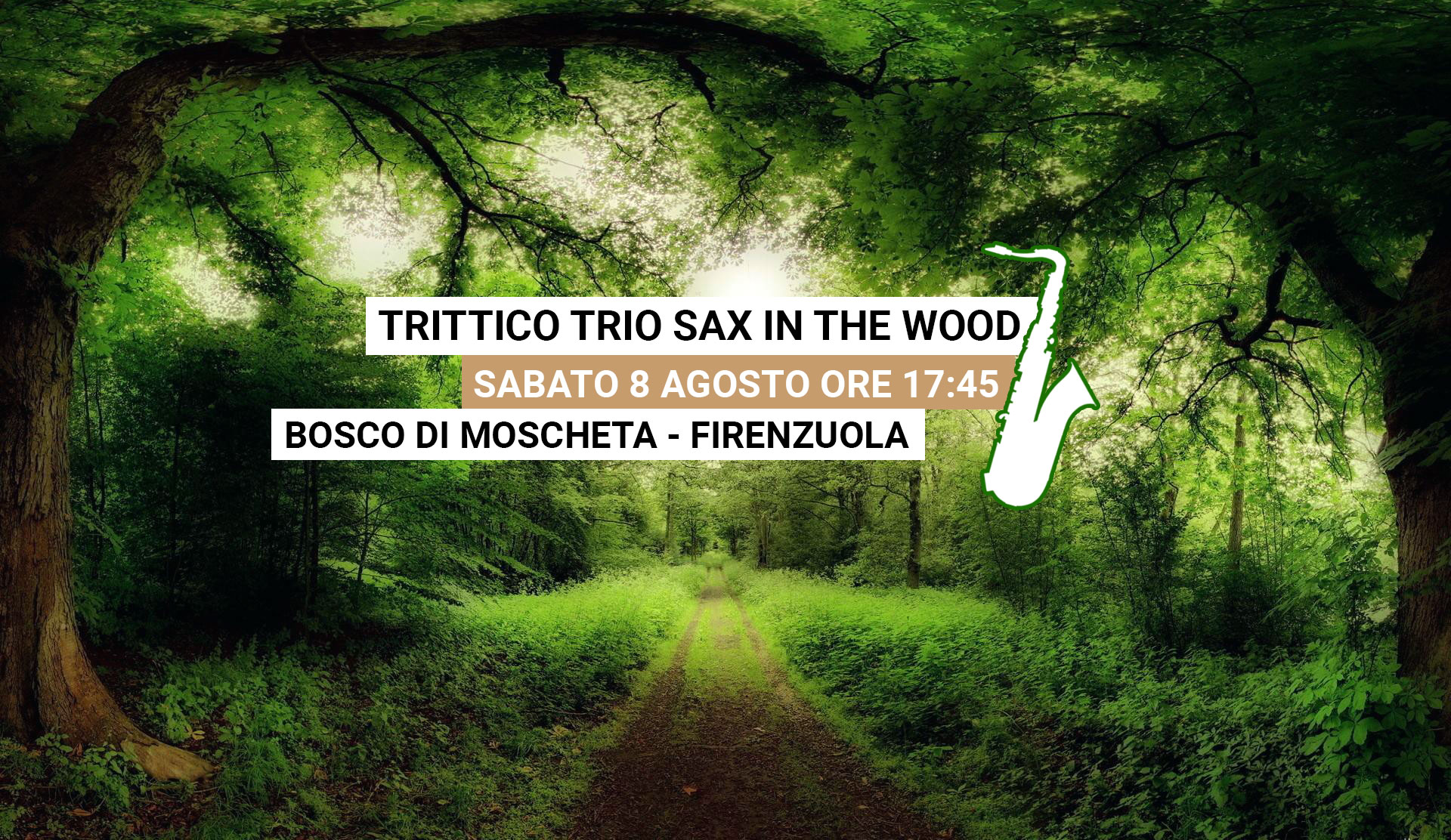 TritticoTrio live@Bosco in Musica 8 Agosto ore 17:45 Moscheta
